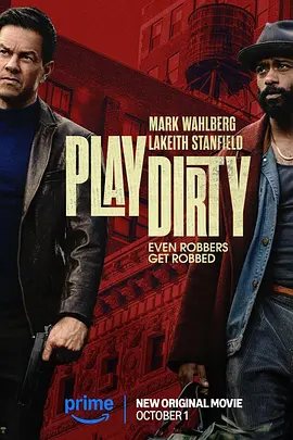盗亦有道 Play Dirty