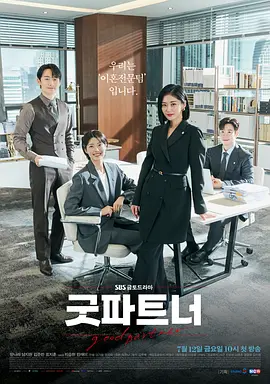 好搭档 第一季 굿파트너