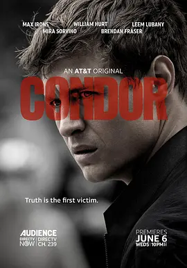 秃鹰 第一季 Condor Season 1