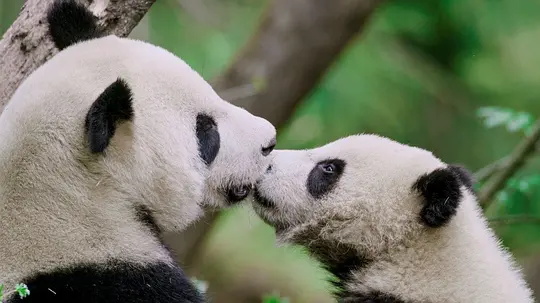 电影剧照