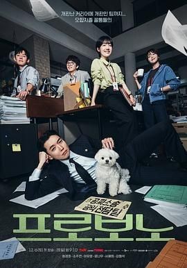 公益律师 프로보노